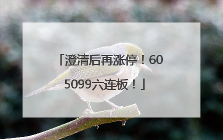澄清后再涨停！605099六连板！