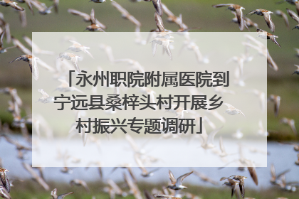 永州职院附属医院到宁远县桑梓头村开展乡村振兴专题调研