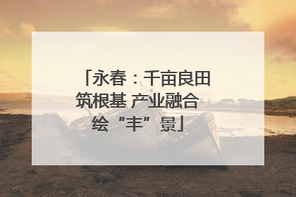 永春：千亩良田筑根基 产业融合绘“丰”景