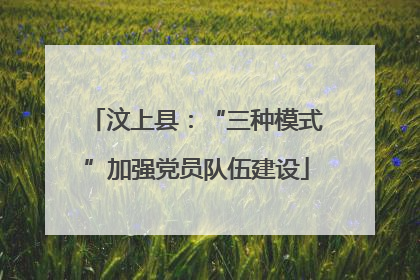 汶上县：“三种模式”加强党员队伍建设