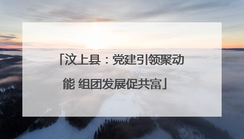汶上县：党建引领聚动能 组团发展促共富