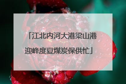江北内河大港梁山港迎峰度夏煤炭保供忙