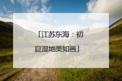 江苏东海：初夏湿地美如画