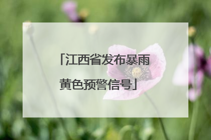 江西省发布暴雨黄色预警信号