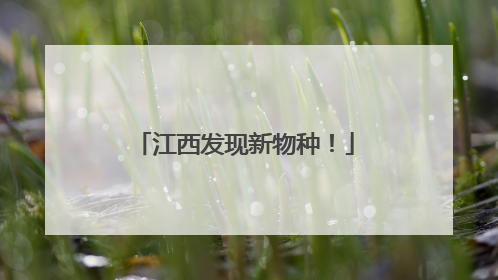 江西发现新物种！