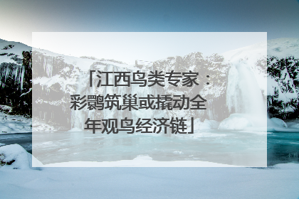 江西鸟类专家：彩鹮筑巢或撬动全年观鸟经济链