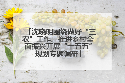 沈晓明围绕做好“三农”工作、推进乡村全面振兴开展“十五五”规划专题调研