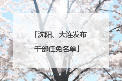 沈阳、大连发布干部任免名单