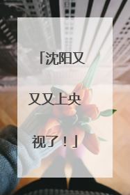 沈阳又又又上央视了！