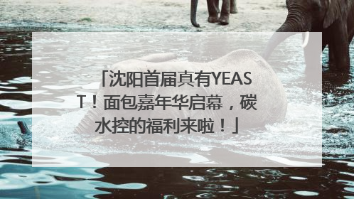 沈阳首届真有YEAST！面包嘉年华启幕，碳水控的福利来啦！
