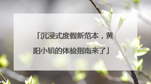 沉浸式度假新范本，黄阳小镇的体验指南来了