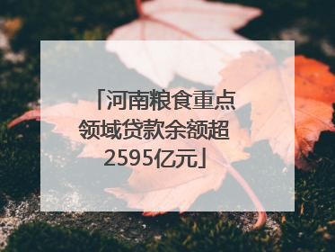 河南粮食重点领域贷款余额超2595亿元