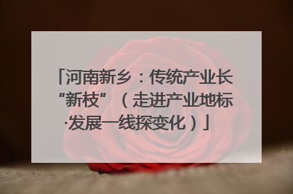 河南新乡：传统产业长“新枝”（走进产业地标·发展一线探变化）
