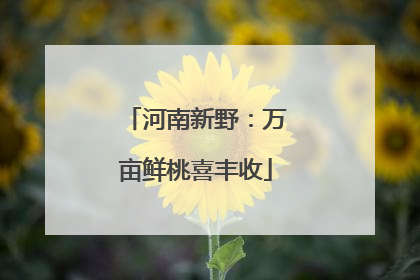 河南新野：万亩鲜桃喜丰收