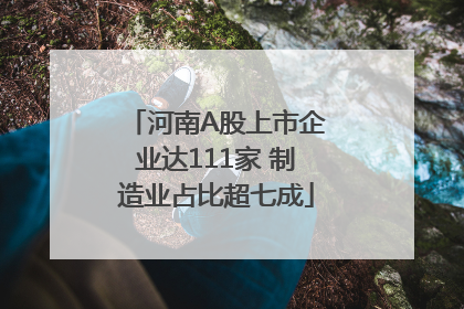 河南A股上市企业达111家 制造业占比超七成