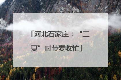 河北石家庄：“三夏”时节麦收忙