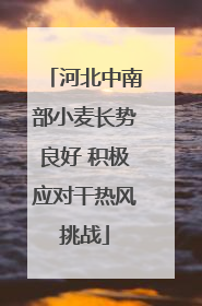 河北中南部小麦长势良好 积极应对干热风挑战