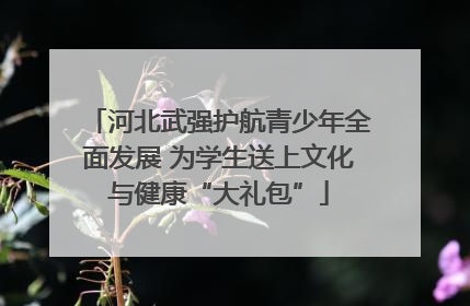 河北武强护航青少年全面发展 为学生送上文化与健康“大礼包”