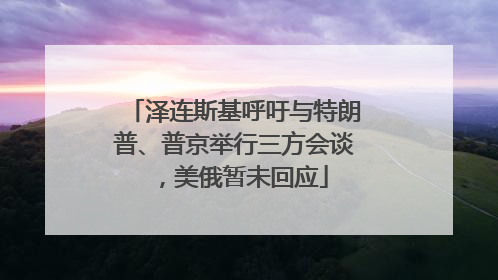 泽连斯基呼吁与特朗普、普京举行三方会谈，美俄暂未回应