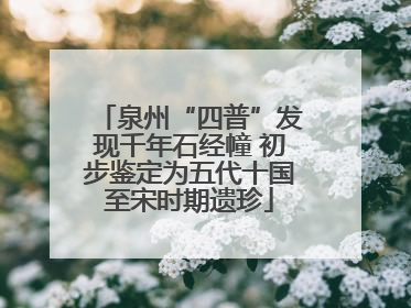 泉州“四普”发现千年石经幢 初步鉴定为五代十国至宋时期遗珍