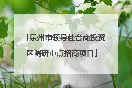 泉州市领导赴台商投资区调研重点招商项目