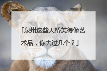 泉州这些天桥美得像艺术品，你去过几个？