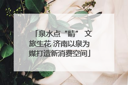 泉水点“睛” 文旅生花 济南以泉为媒打造新消费空间