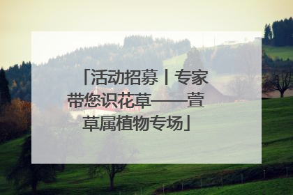活动招募丨专家带您识花草——萱草属植物专场