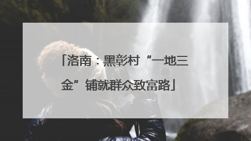 洛南：黑彰村“一地三金”铺就群众致富路