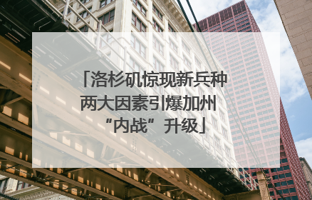 洛杉矶惊现新兵种 两大因素引爆加州“内战”升级