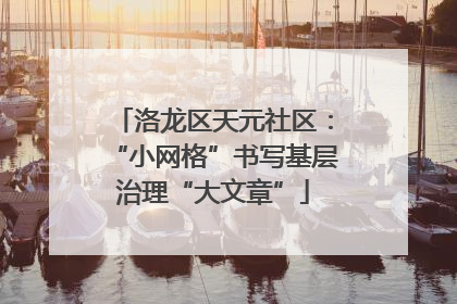 洛龙区天元社区：“小网格”书写基层治理“大文章”