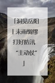 洞见岳阳丨未雨绸缪 打好防汛“主动仗”