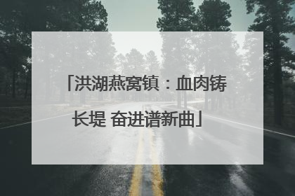 洪湖燕窝镇：血肉铸长堤 奋进谱新曲