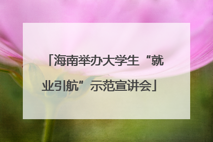 海南举办大学生“就业引航”示范宣讲会