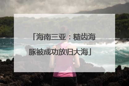 海南三亚：糙齿海豚被成功放归大海