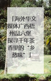 海外华文媒体广西梧州品六堡 探寻千年茶香里的“乡愁味”