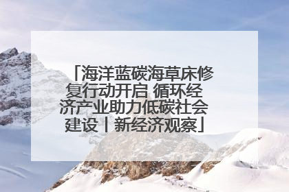 海洋蓝碳海草床修复行动开启 循环经济产业助力低碳社会建设丨新经济观察