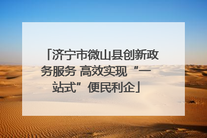 济宁市微山县创新政务服务 高效实现“一站式”便民利企