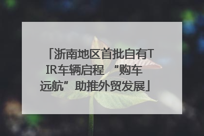 浙南地区首批自有TIR车辆启程 “购车远航”助推外贸发展