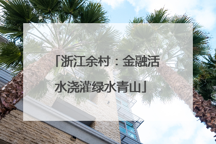 浙江余村：金融活水浇灌绿水青山
