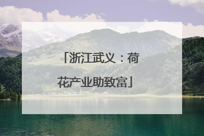 浙江武义：荷花产业助致富