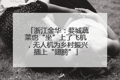 浙江金华：婺城蔬菜也“坐”上了飞机，无人机为乡村振兴插上“翅膀”