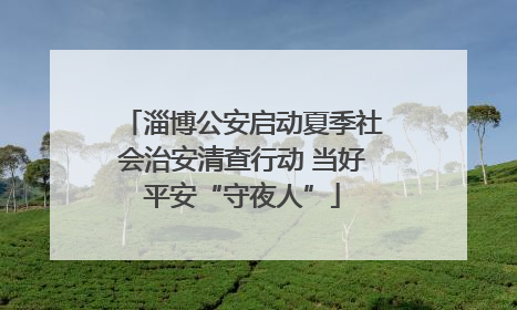 淄博公安启动夏季社会治安清查行动 当好平安“守夜人”