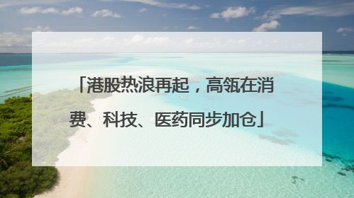 港股热浪再起，高瓴在消费、科技、医药同步加仓