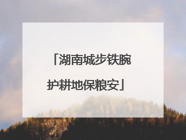湖南城步铁腕护耕地保粮安