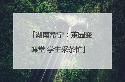 湖南常宁：茶园变课堂 学生采茶忙