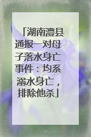 湖南澧县通报一对母子落水身亡事件：均系溺水身亡，排除他杀