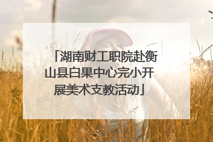 湖南财工职院赴衡山县白果中心完小开展美术支教活动