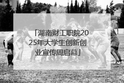 湖南财工职院2025年大学生创新创业宣传周启幕