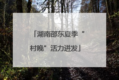湖南邵东夏季“村晚”活力迸发